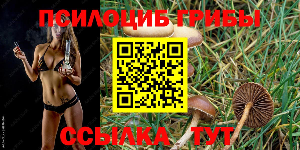 Галлюциногенные грибы прущие грибы Кувандык