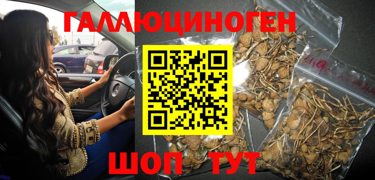 Амфетамин Кувандык